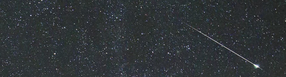 Organ Transplant Information